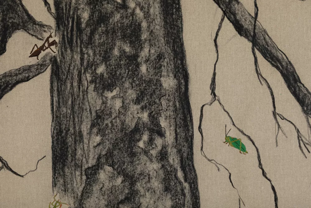 Nepoznano ni nekaj slabega