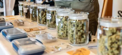 Konoplja, medicinska uporaba konoplje, marihuana