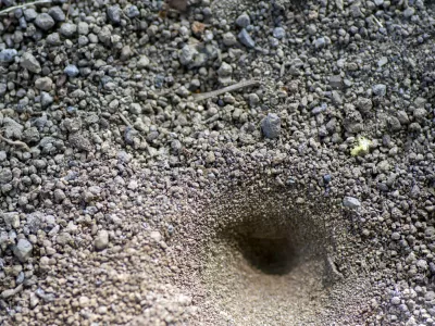 Slika je simbolična. / Foto: Istock