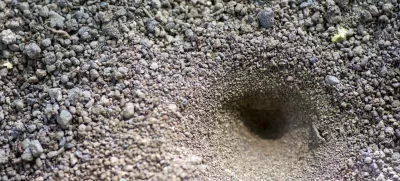 Slika je simbolična. / Foto: Istock