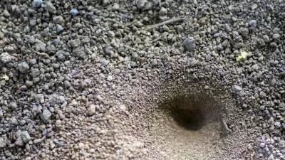 Slika je simbolična. / Foto: Istock