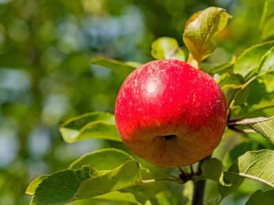 Topaz. Slika je simbolična. / Foto: Istock