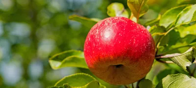 Topaz. Slika je simbolična. / Foto: Istock