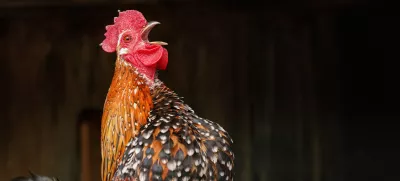 Slika je, seveda, simbolična. / Foto: Istock