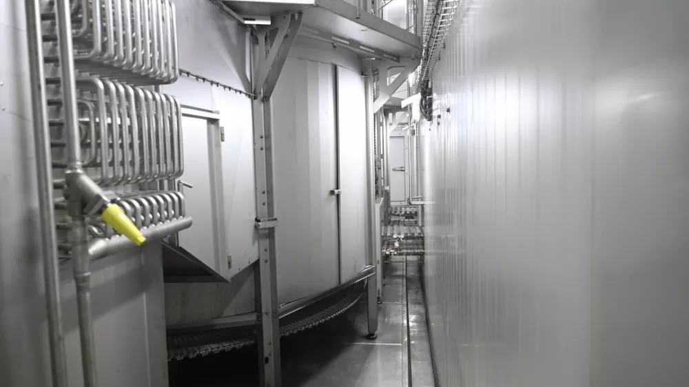 12.07.2024 - Ljubljanske mlekarne, sladoled Planica praznuje 50 let.FOTO: Nik Erik Neubauer