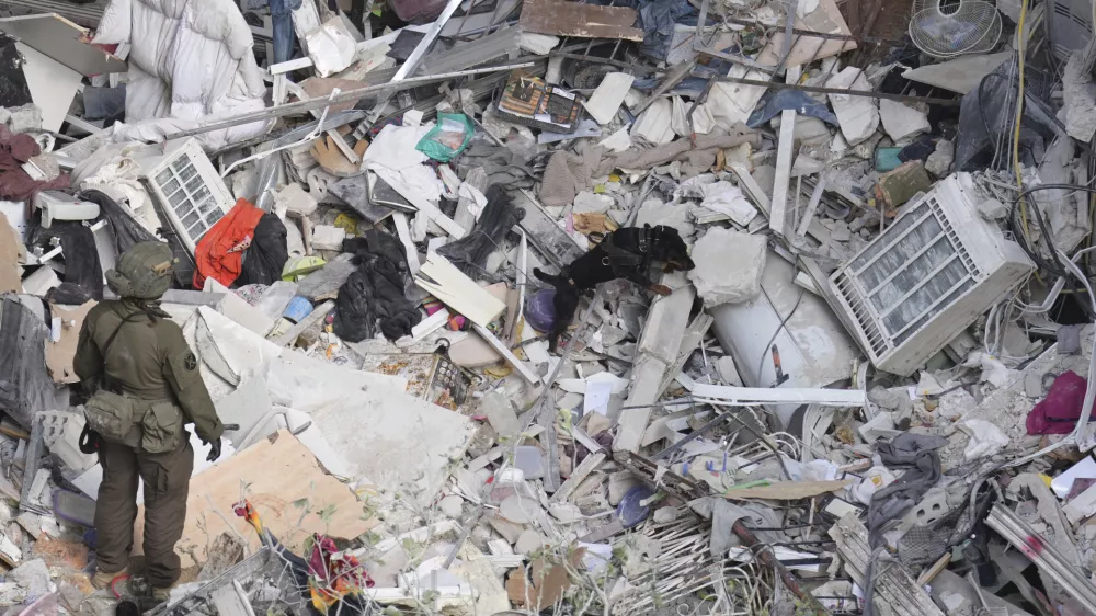 An Israeli military working dog searches rubble for survivors in a residential area hit by a missile fired from Iran, near Tel Aviv, Israel, Sunday, June 15, 2025.(AP Photo/Ariel Schalit)