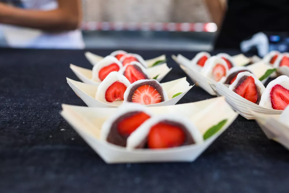 - 11.06.2022 - Dan Japonske – festival ob 30. obletnici vzpostavitve diplomatskih odnosov med Slovenijo in Japonsko -//FOTO: Bojan Velikonja / Foto: Bojan Velikonja