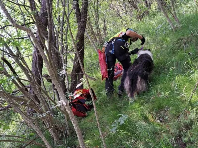 Ljubljanski gorski reševalci so v Pungertu na pomoč priskočili psički. 