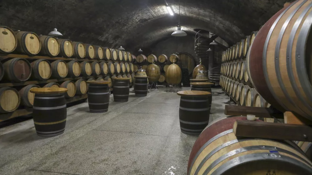  25.05.2023 - Klet Brda – vinska Klet de Baguer, Dobrovo v Brdih //FOTO: Luka Cjuha / Foto: Luka Cjuha