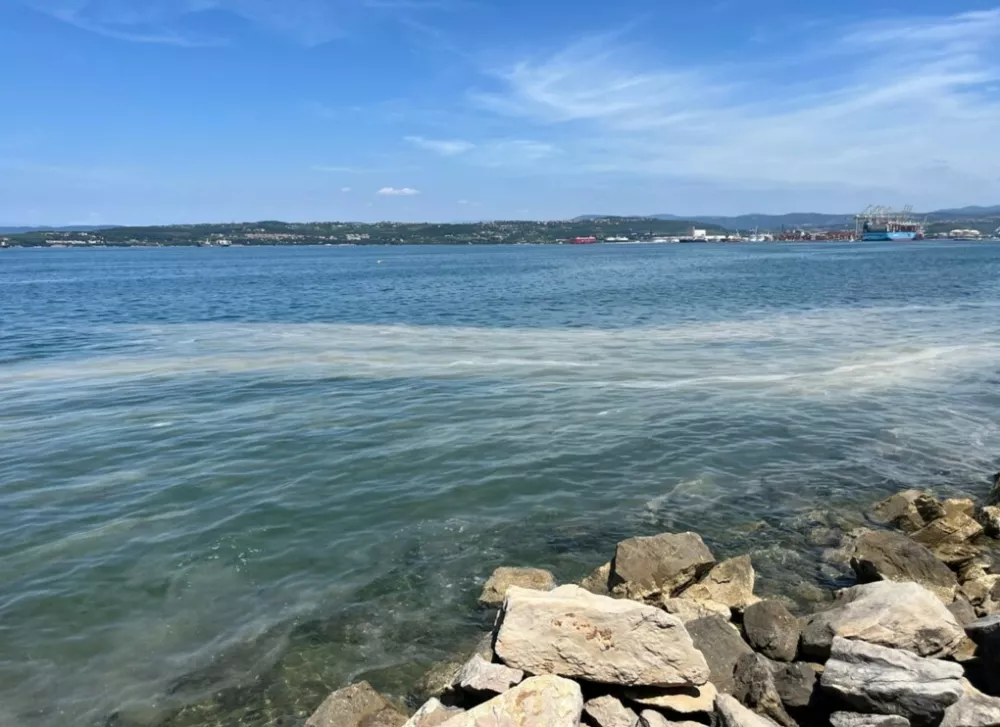 Cvetenje morja. / Foto: Krištof Urbančič