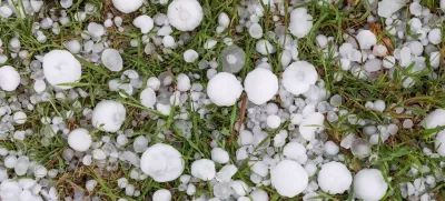 Med majhnimi kepami se lahko znajdejo tudi smrtonosno velike. Slika je simbolična. / Foto: Istock