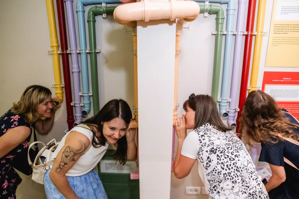 Muzej slovenščine našel prostor v kraškem gradu