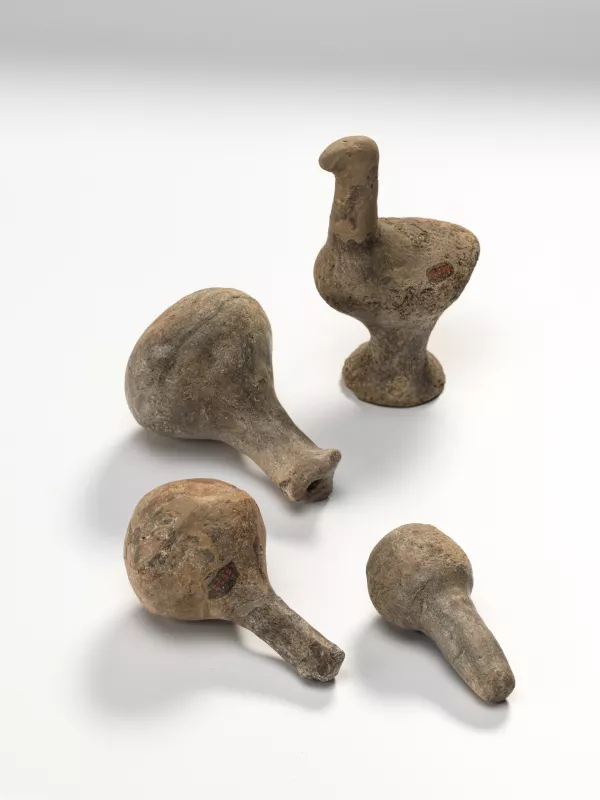 Velika razstava o majhni piščali