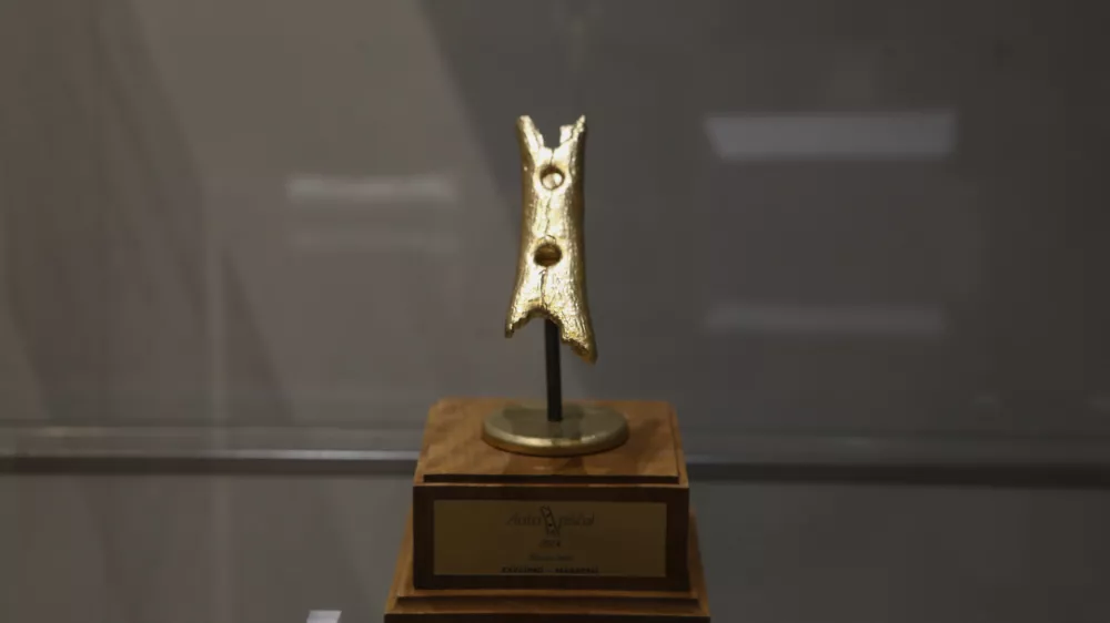 Velika razstava o majhni piščali