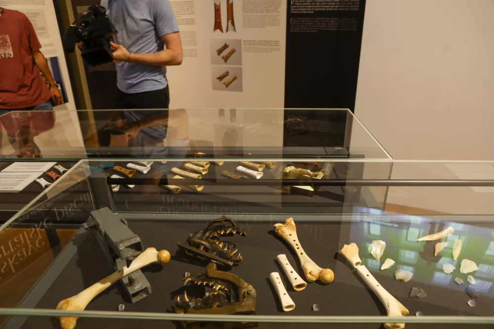 Velika razstava o majhni piščali