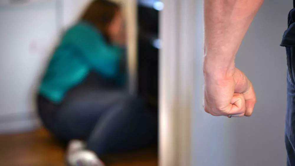 H938GC Domestic violence