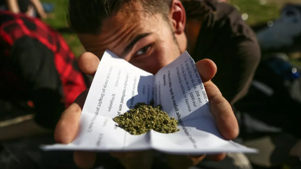 ﻿- 20.04.2018 - Marihuana marš 2018 - Kongresni trg - konoplja - //FOTO: Luka Cjuha.