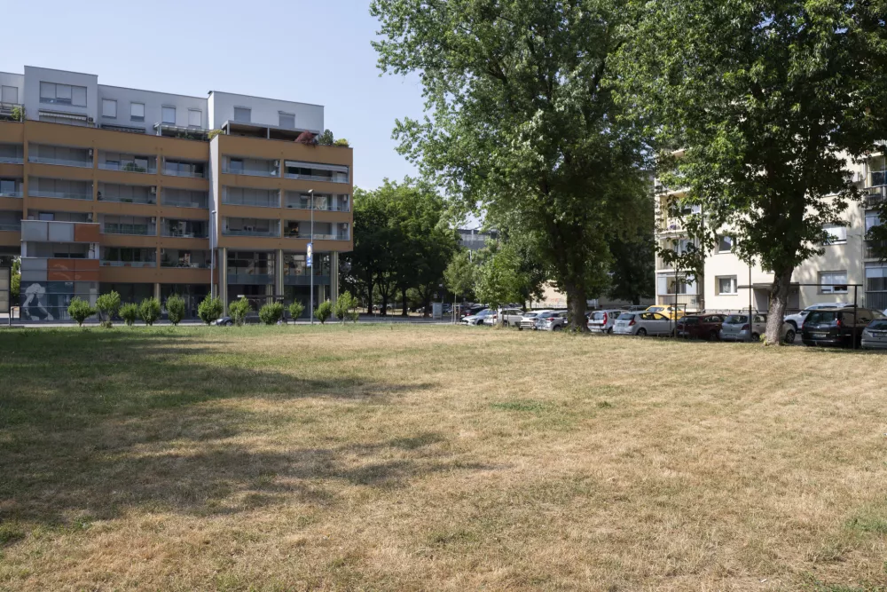 posušena travavročinavročinski val26.06.2025 - suša v LjubljaniFOTO: Nik Erik Neubauer