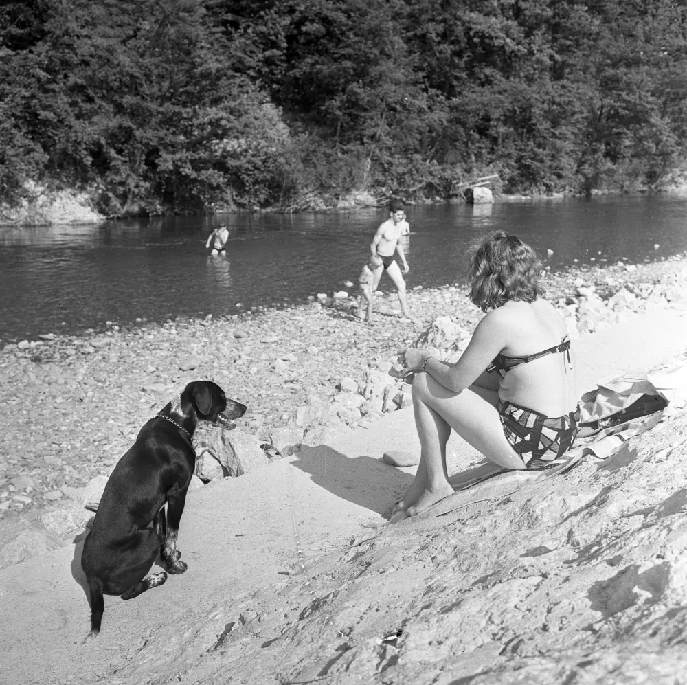 Pasja vročina / Foto: Marjan Ciglič, hrani Muzej novejše in sodobne zgodovine Slovenije