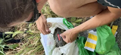 markiranje modrih rakovic za spremljanje njihovega gibanjagoto: lovrenc lipej / Foto: Lovrenc Lipej