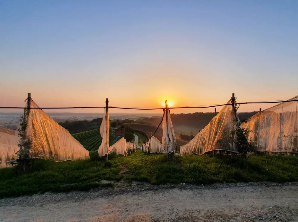 zaščitne mreže proti insektom kmetija Trstenjak / Foto: Osebni Arhiv