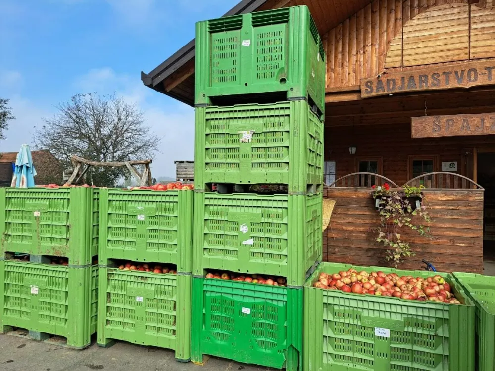 jabolka, kmetija Trstenjak / Foto: Osebni Arhiv