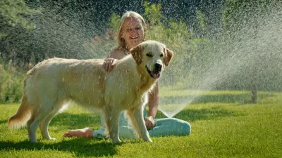 A cheerful woman sits on the grass with her Golden Retriever, both getting soaked by a water spray in a vibrant garden. The dog looks happy with its tongue out, while the woman smiles brightly. The lush greenery and blooming flowers in the background enhance the refreshing and playful scene, capturing the essence of a fun summer day outdoors. / Foto: Stockseller_ukr