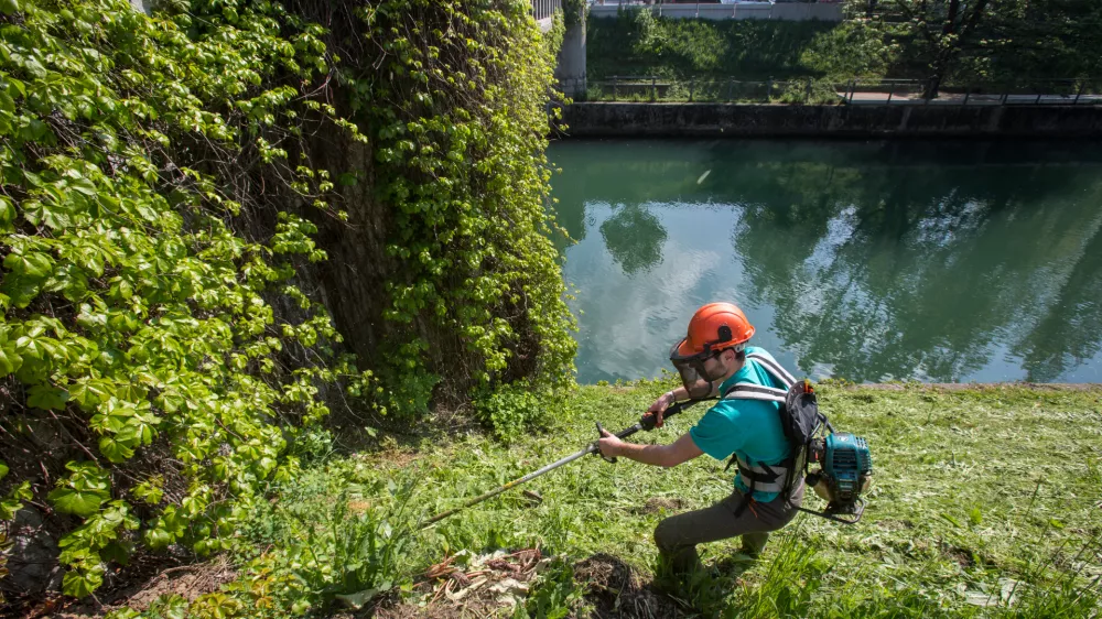 ﻿- 20.04.2016 - Simbolična fotografija - košenje trave ob Ljubljanici - delo - čiščenje - košnja -  ..//FOTO: Maja Marko  