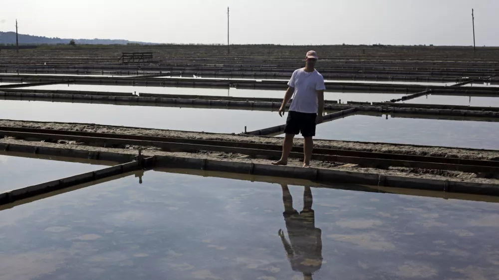 ﻿- Krajinski park Sečoveljske soline (KPSS) - Sečovlje- reportaža v Sečoveljskih solinah, Krajinskem parku in Muzeju solinarstva 2013 - //FOTO: Jaka GasarOPOMBA: ZA OBJAVO V PRILOGI - DNEVNIKOV OBJEKTIV - REPORTAŽA 2013