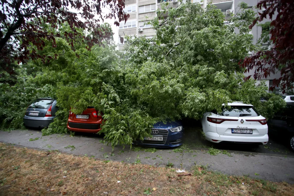 07.07.2025., Zagreb - U prijepodnevnim satima oluja je poharala Zagreb. U Ulici Bozidara Magovca stablo se srusilo na cetiri automobila. Photo: Zeljko Lukunic/PIXSELL