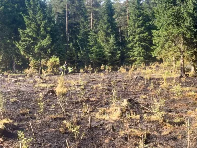 požar pogorišče smlednik