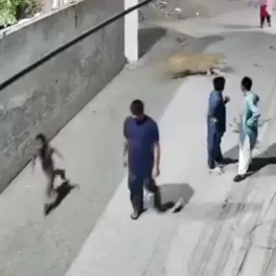 Foto: zajem zaslona/X