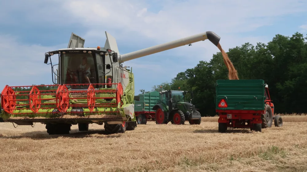 Prekmurje, Goričko, polje, pšenica, žetev, kombajn. Foto: Tatjana Pihlar 