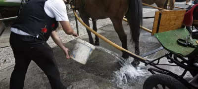 - ilustrativna fotografija - furman - kočija - voz - konjski iztrebki - konj- 7. Strateški forum Bled 2012 - //FOTO: Tomaž Skale