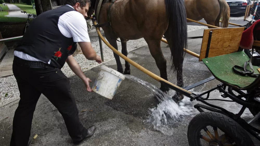 - ilustrativna fotografija - furman - kočija - voz - konjski iztrebki - konj- 7. Strateški forum Bled 2012 - //FOTO: Tomaž Skale
