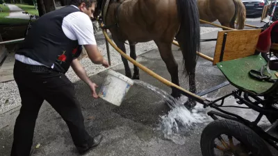 - ilustrativna fotografija - furman - kočija - voz - konjski iztrebki - konj- 7. Strateški forum Bled 2012 - //FOTO: Tomaž Skale