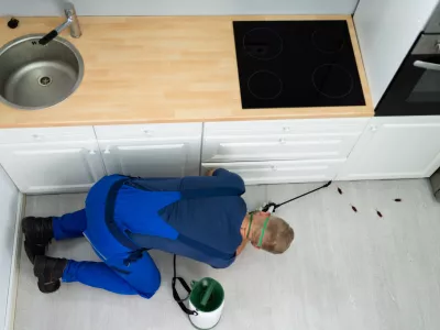 Porast ščurkov krati spanec prebivalcem ljubljanskih blokov in sosesk