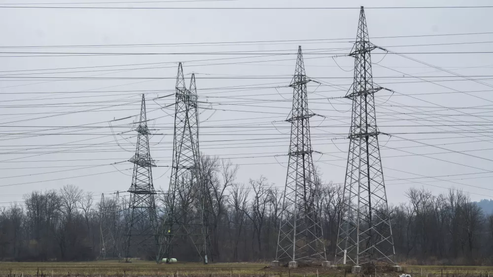 Je Eles zadovoljen s popravki omrežninske reforme?