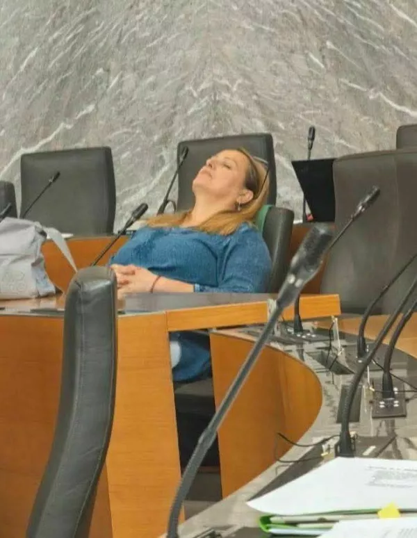 Lena Grgurević v parlamentu ni spala, kot so namigovali njeni parlamentarni kolegi, ampak razmišljala. 