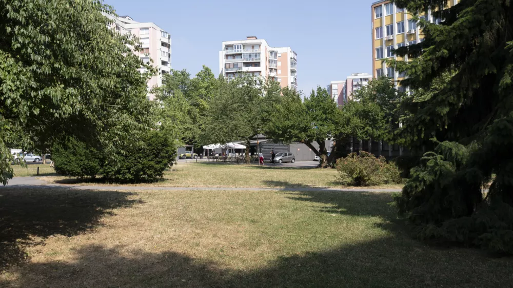 posušena travavročinavročinski val26.06.2025 - suša v LjubljaniFOTO: Nik Erik Neubauer