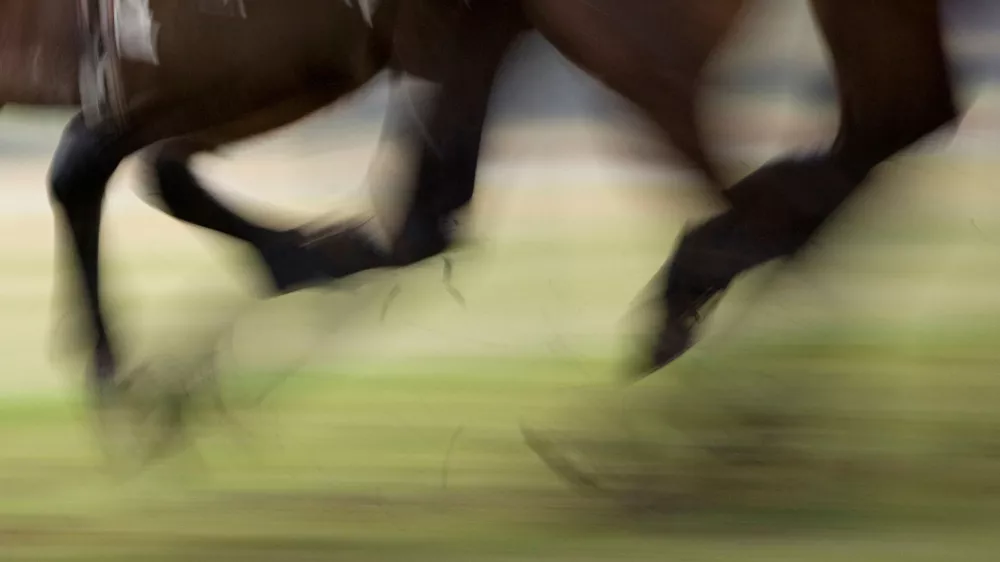 Spolni napad trenerja jahanja: Življenje žrtev je “na čakanju”