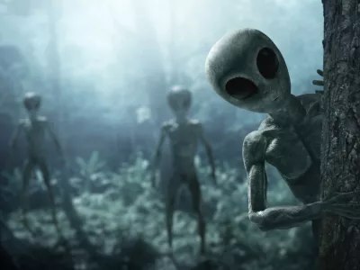 Mi iščemo njih in morda tudi oni iščejo nas. / Foto: Istock