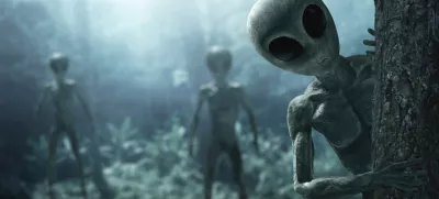 Mi iščemo njih in morda tudi oni iščejo nas. / Foto: Istock