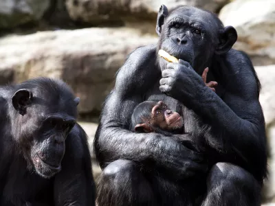 Starša in otrok. Razmerje moči med njimi ni zakoreninjeno v spolu. / Foto: Istock