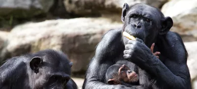 Starša in otrok. Razmerje moči med njimi ni zakoreninjeno v spolu. / Foto: Istock