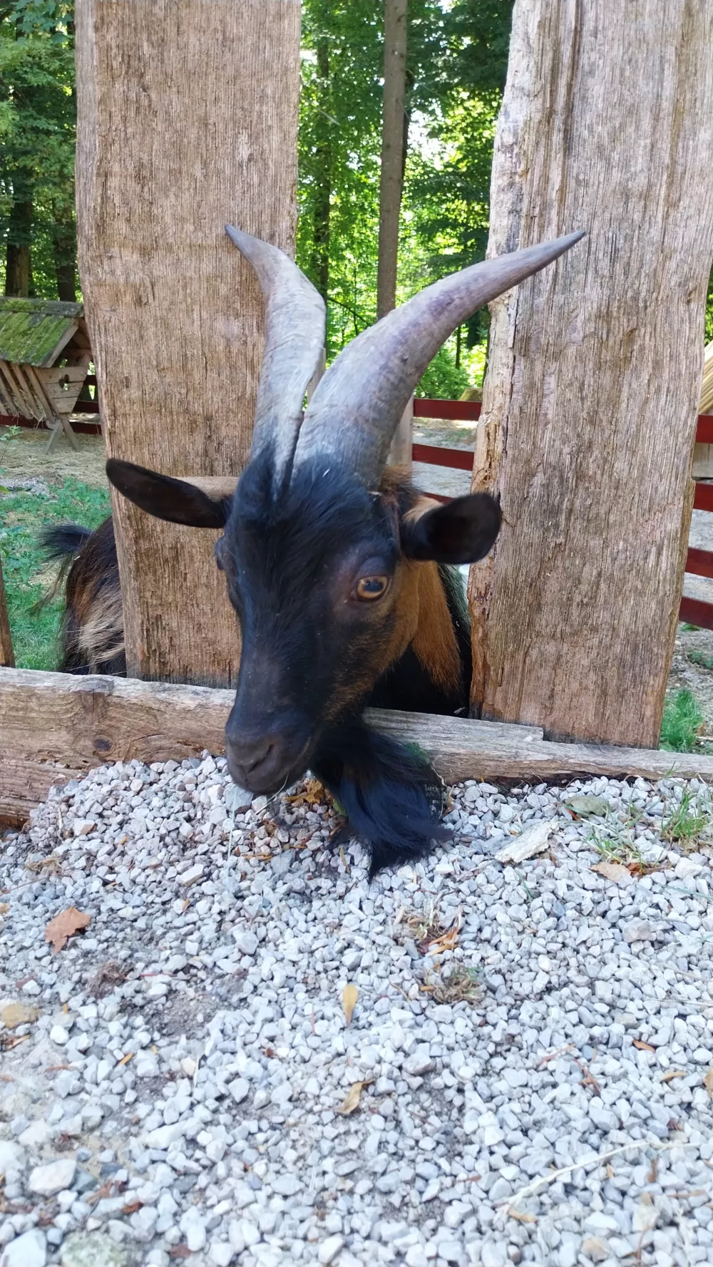 Mengeška koča: Med naravo, tradicijo in domačnostjo