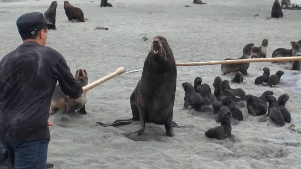 ﻿Kamčatka - zdravilo proti sovraštvuKAMCHATKA: THE CURE FOR HATREDruska dokumentarna oddaja, 2014