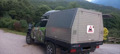 Germany, Bad Rippoldsau-Schapbach (Baden-Württemberg) - July 20, 2025.Bear Gaia - also known as JJ4 - transported from the Casteller Wildlife Center in the Italian province of Trentino to the Alternative Park for Bears and Wolves'' in the Black Forest, where her mother Jurka and her sister DJ3 already live..JJ4 attacked and killed a hiker in the autonomous northern province of Trento (Trentino Alto Adige) in Italy.Archive photo,Image: 1023841965, License: Rights-managed, Restrictions: * France, Germany and Italy Rights Out *, Model Release: no