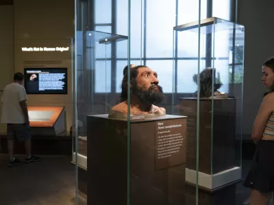 People visit exhibits inside the Smithsonian Hall of Human Origins, Thursday, July 20, 2023, at the Smithsonian Museum of Natural History in Washington. Until recently, the genetic legacy from ancient humans was invisible because scientists were limited to what they could glean from the shape and size of bones. But there has been a steady stream of discoveries from ancient DNA, an area of study pioneered by Nobel Prize winner Svante Paabo who first pieced together a Neanderthal genome. (AP Photo/Jacquelyn Martin)