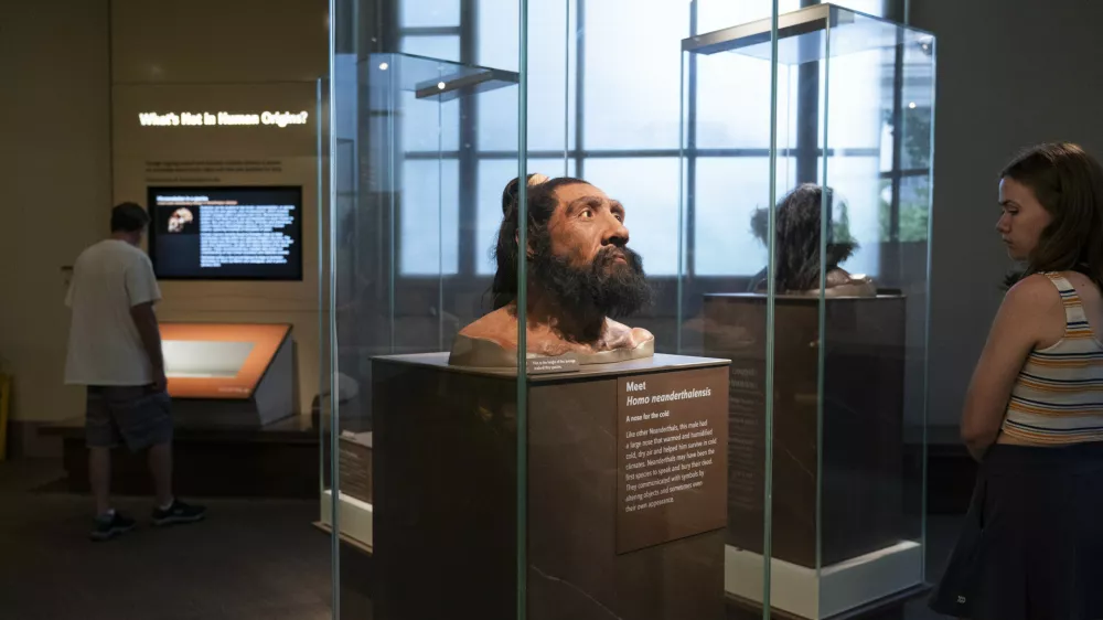 People visit exhibits inside the Smithsonian Hall of Human Origins, Thursday, July 20, 2023, at the Smithsonian Museum of Natural History in Washington. Until recently, the genetic legacy from ancient humans was invisible because scientists were limited to what they could glean from the shape and size of bones. But there has been a steady stream of discoveries from ancient DNA, an area of study pioneered by Nobel Prize winner Svante Paabo who first pieced together a Neanderthal genome. (AP Photo/Jacquelyn Martin)